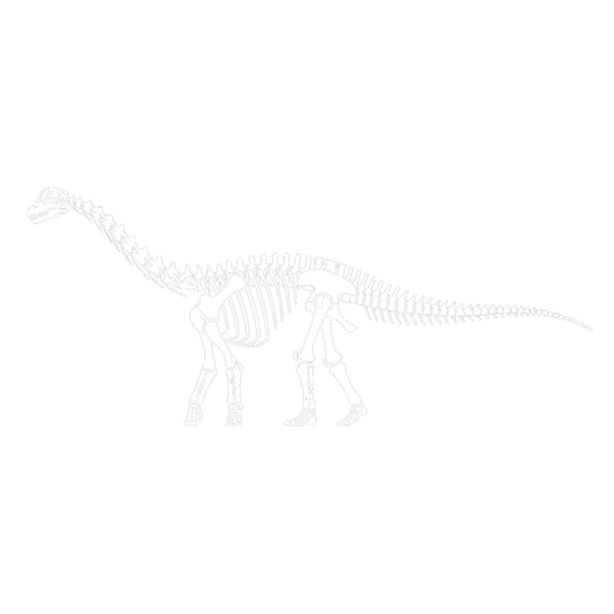 バラパサウルス