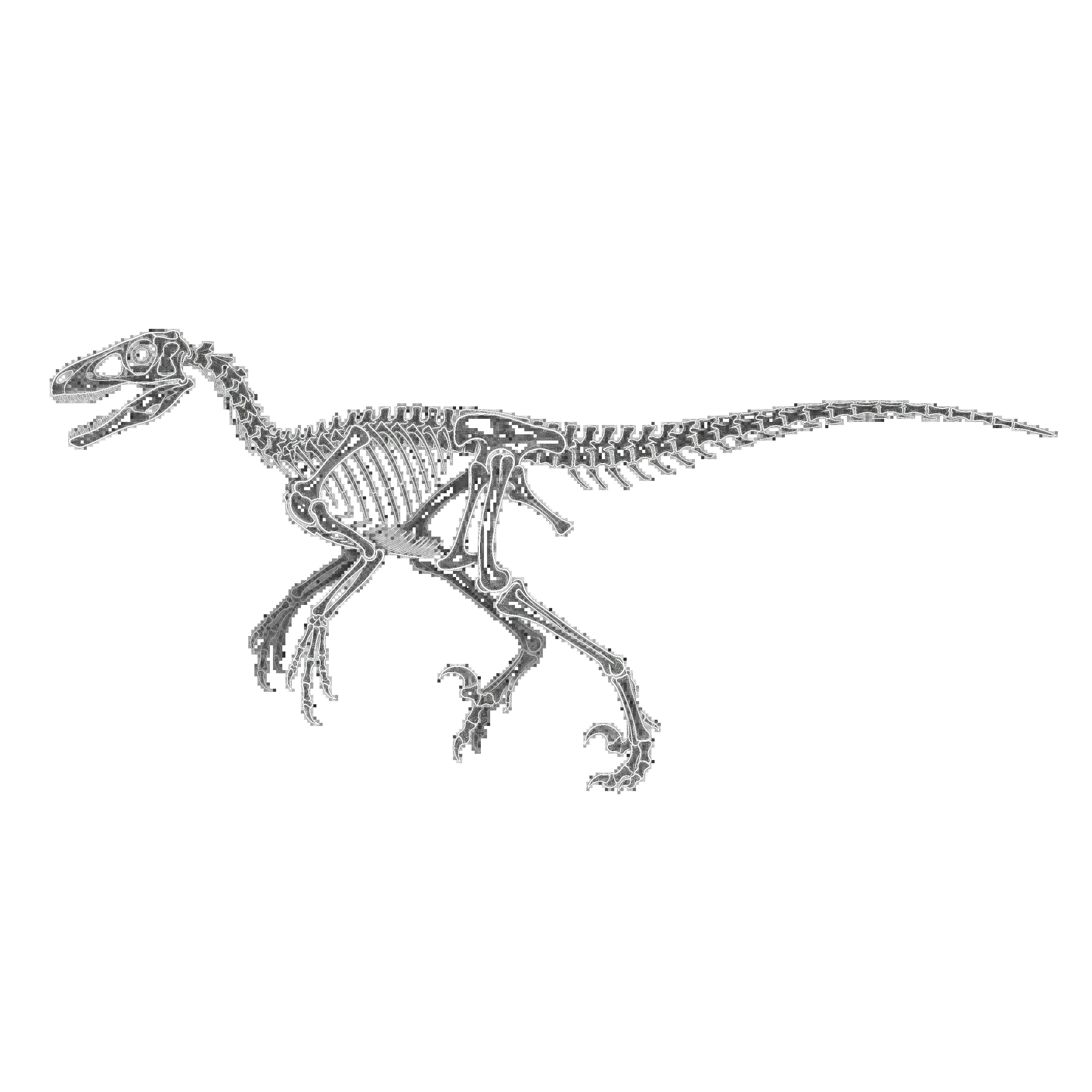 ドロマエオサウルス