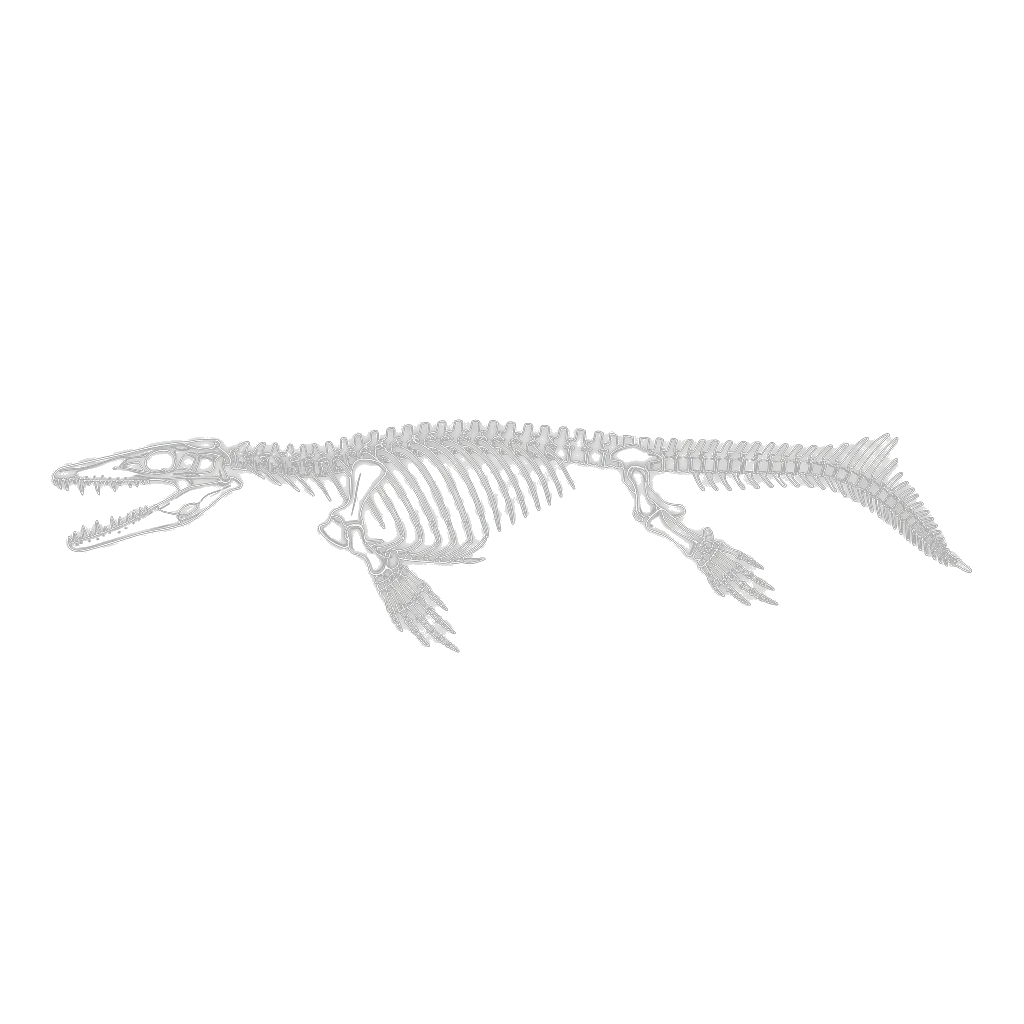 エゾミカサリュウ