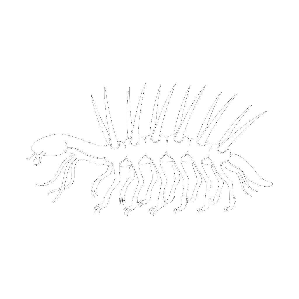 ハルキゲニア