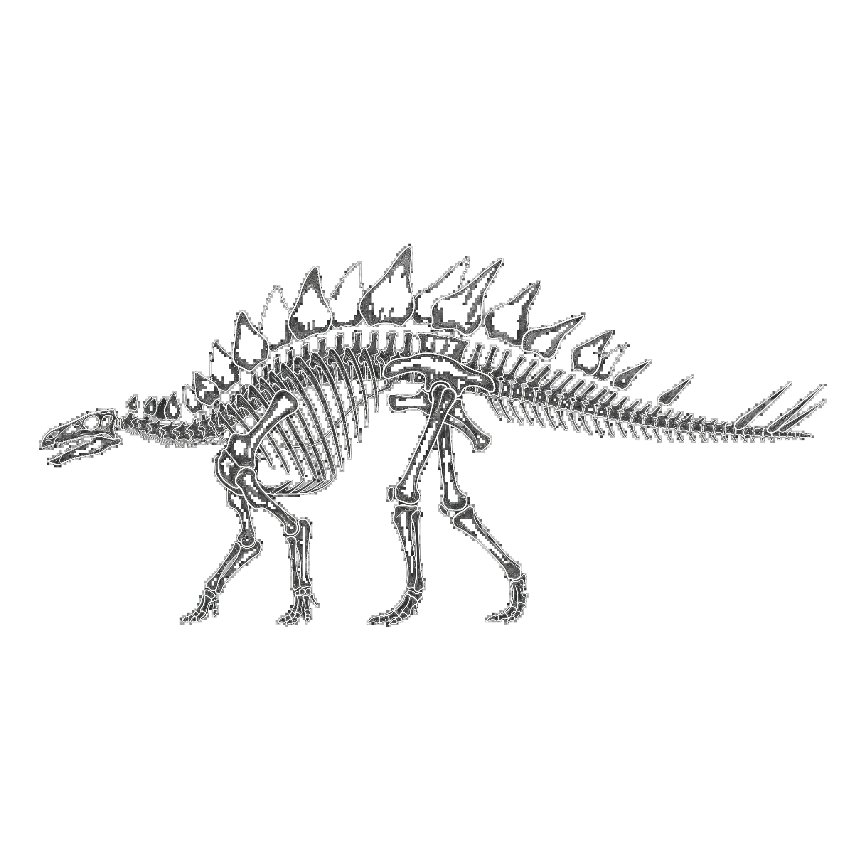 ファヤンゴサウルス