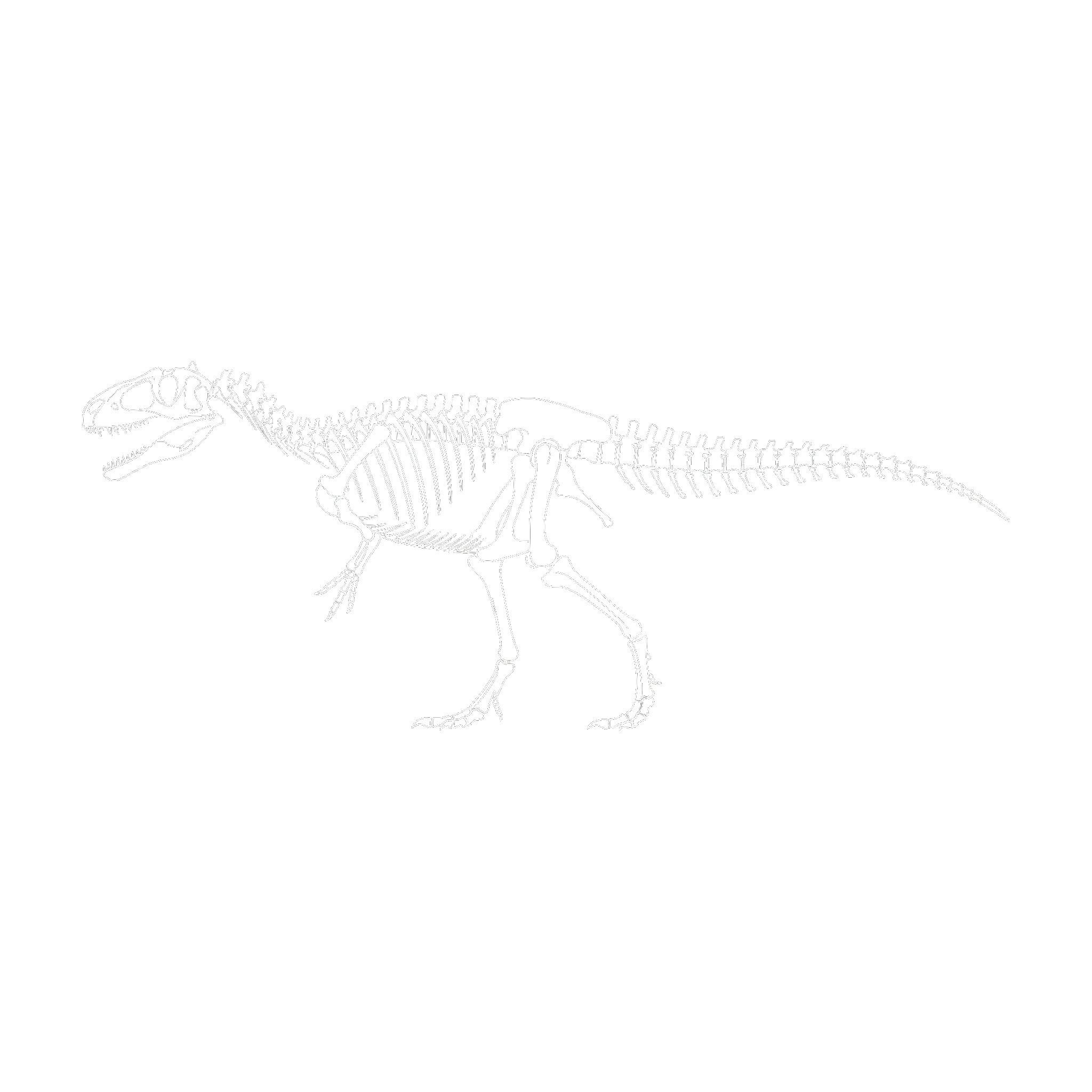 メトリアカントサウルス