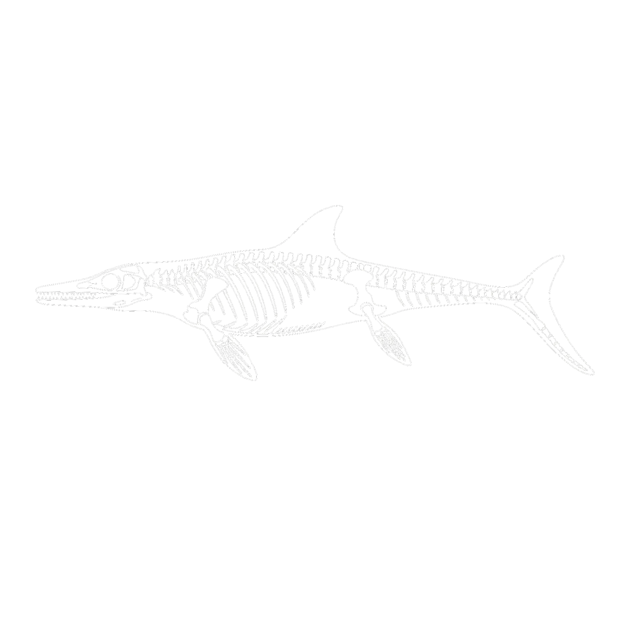 ミクソサウルス