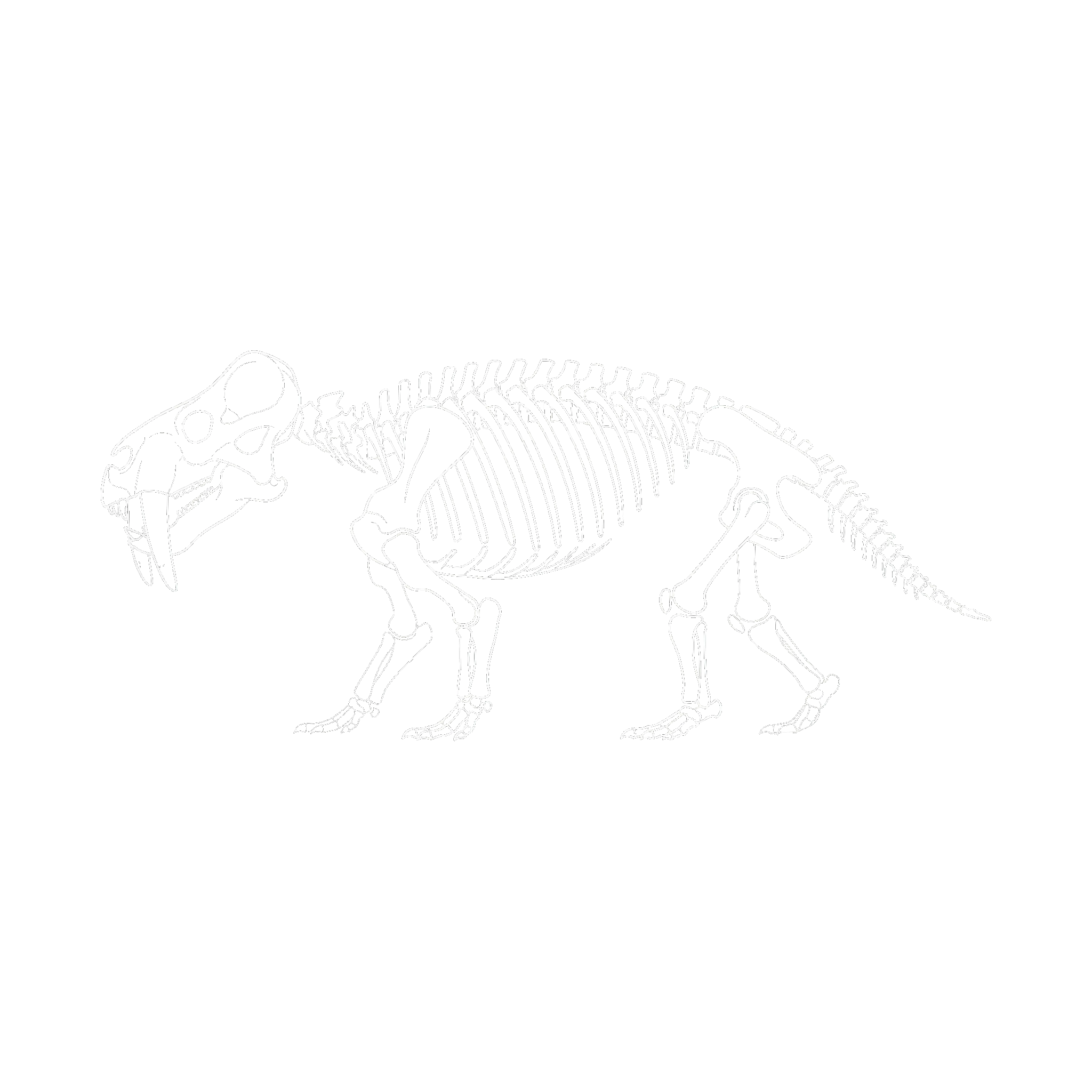 プラケリアス