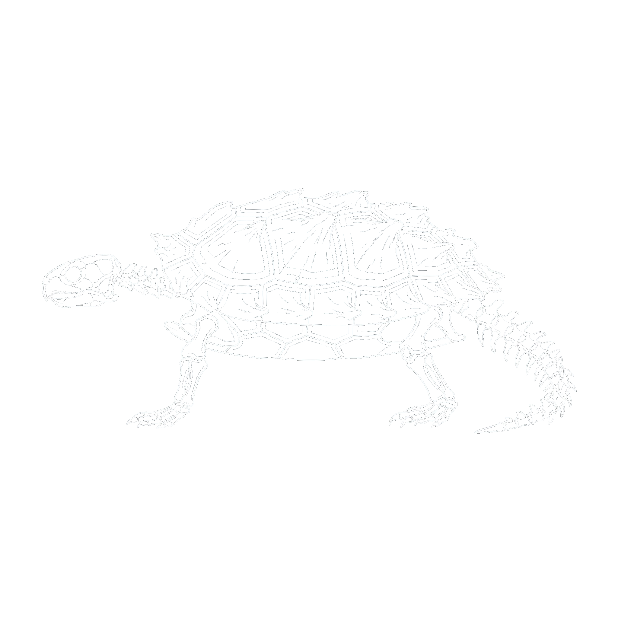 プロガノケリス