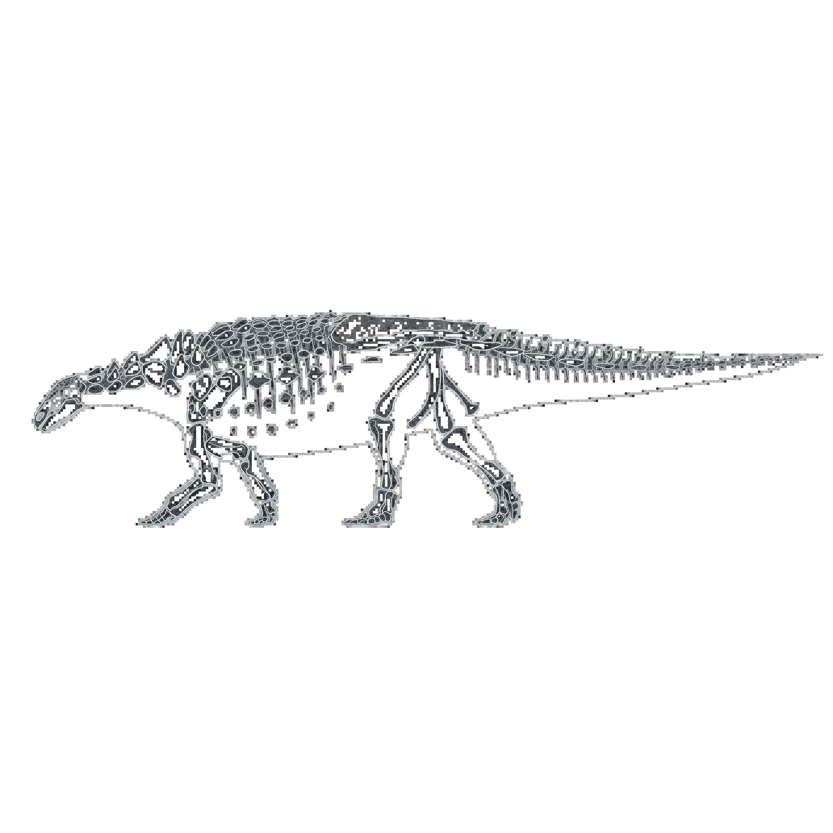 ヴェクティペルタ